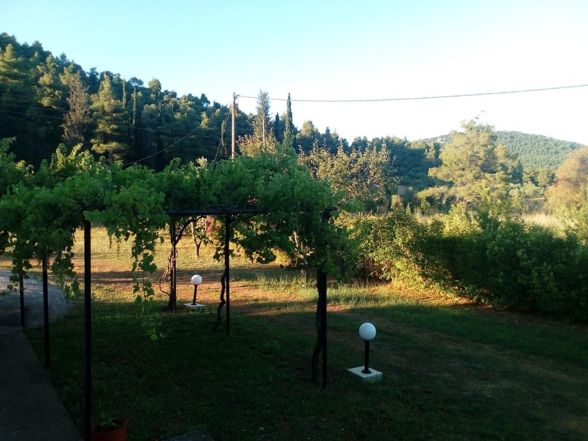 Villa Sandra Panormos  Extérieur photo